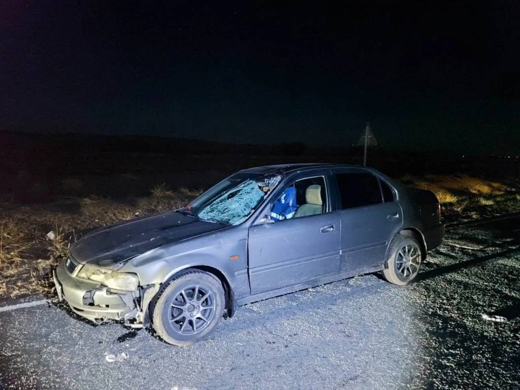 Пьяный житель Хакасии насмерть сбил жену после застолья в честь покупки авто
