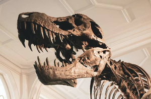 Учёные выяснили, сколько энергии высвободил убивший динозавров астероид