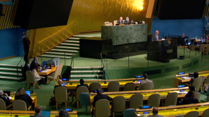 На Генассамблее ООН отказали России в тайном голосовании по референдумам