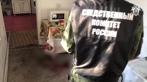 Дело о загрызших девочку в Сочи питбулях взято под особый контроль