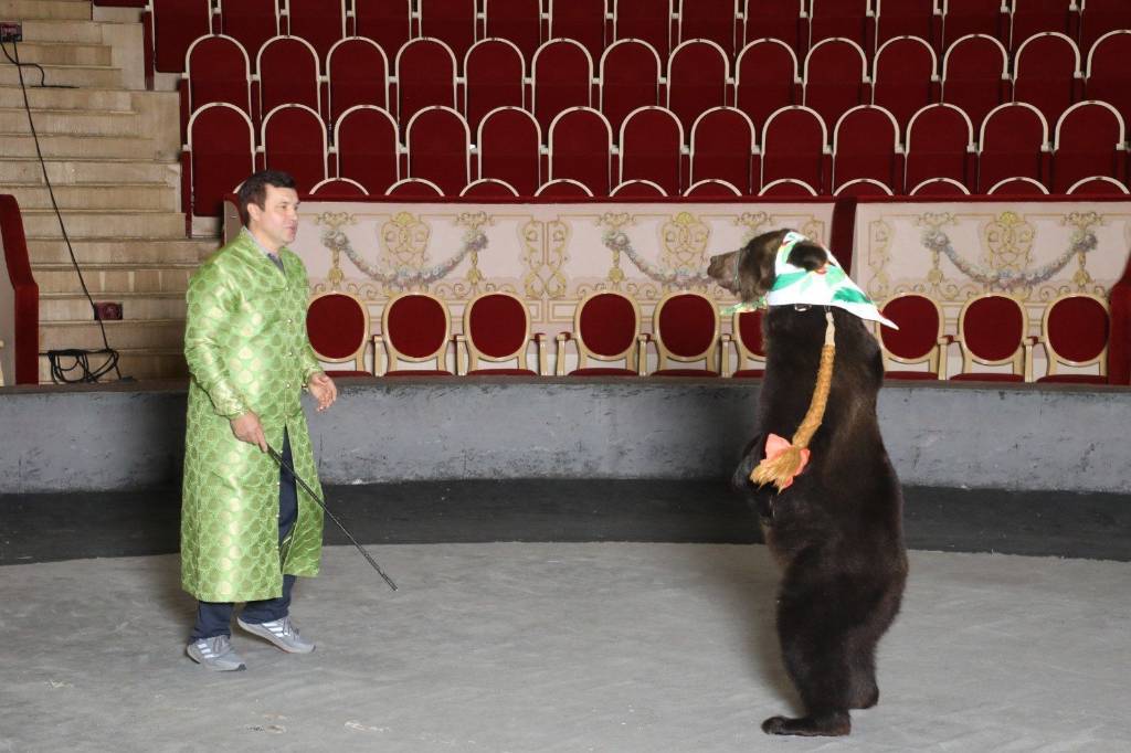 Дрессировщик Касеев рассказал, как научил медведей танцевать балет и играть в футбол
