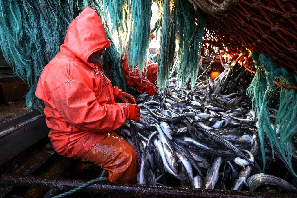 Регионы бьют тревогу: Передел рыбной отрасли грозит потерями налогов и оттоком населения
