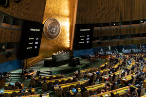 "Пусть голосуют как хотят": Политолог объяснил, что резолюция ГА ООН против России ничего не решает