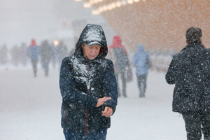 Вильфанд рассказал, когда в Московском регионе будет первый снег