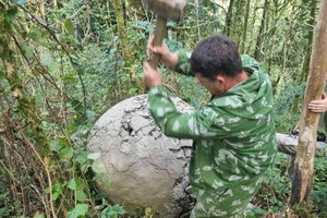 В Сочи решили уничтожить найденные в лесу огромные таинственные шары