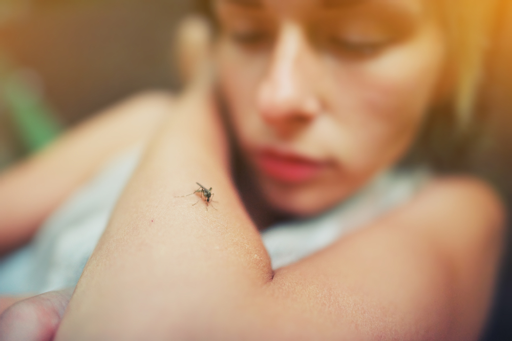 Учёные выяснили, что одни люди привлекают комаров больше других