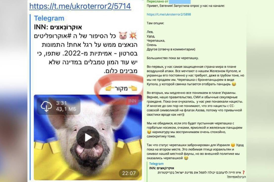 Израильский канал INN связался с создательницей "украинской свинки" из-за недопонимания с авторством. Фото © LIFE  