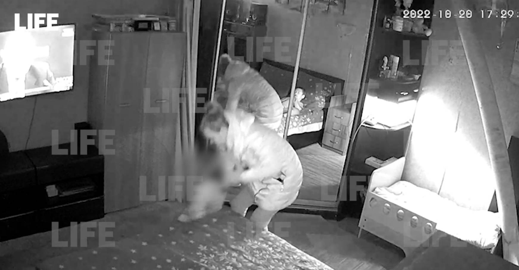 Чё орёшь, крыса вонючая!: В Орехово-Зуеве мать с тётей жестоко избили девочку из-за плача