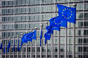 МИД объявил об ответе на санкции ЕС из-за новых регионов России