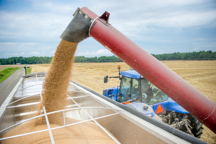 В Минсельхозе РФ сообщили о готовности отправить 500 тысяч тонн зерна в бедные страны