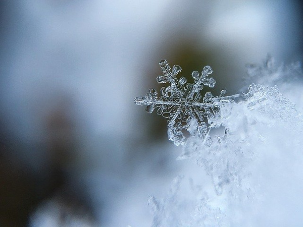Москвичей предупредили о похолодании и снеге на предстоящей неделе
