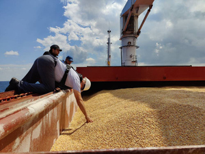 Россия приостанавливает участие в зерновой сделке