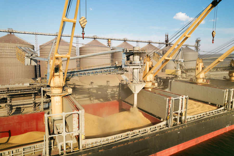 Погрузка зерна в трюмы морского грузового судна в порту Одессы. Фото © Shutterstock / Elena Larina