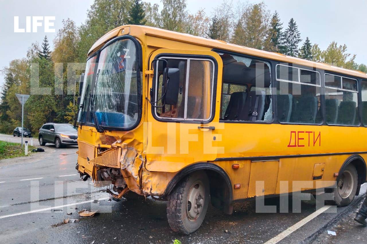 Иномарка врезалась в школьный автобус с детьми в Ленобласти
