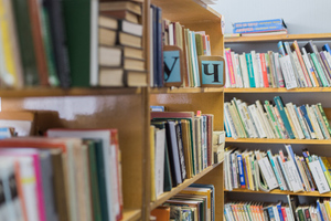 Библиотекарь херсонской школы прятал "Слово о полку Игореве" и другие русские книги от ВСУ