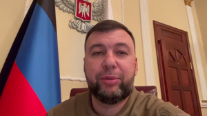 "Станет ещё легче": Пушилин пояснил, как будут в ДНР выдавать паспорта России