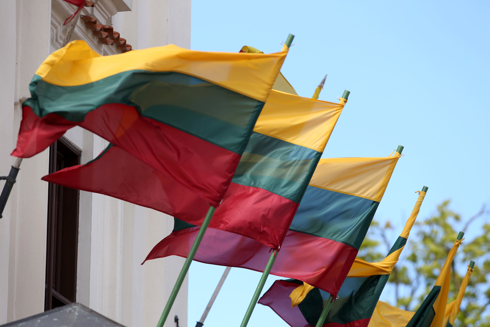 Политолог объяснила желание Литвы стать лидером в "чемпионате по русофобии"