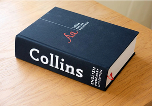 Британский словарь Collins выбрал слово 2022 года