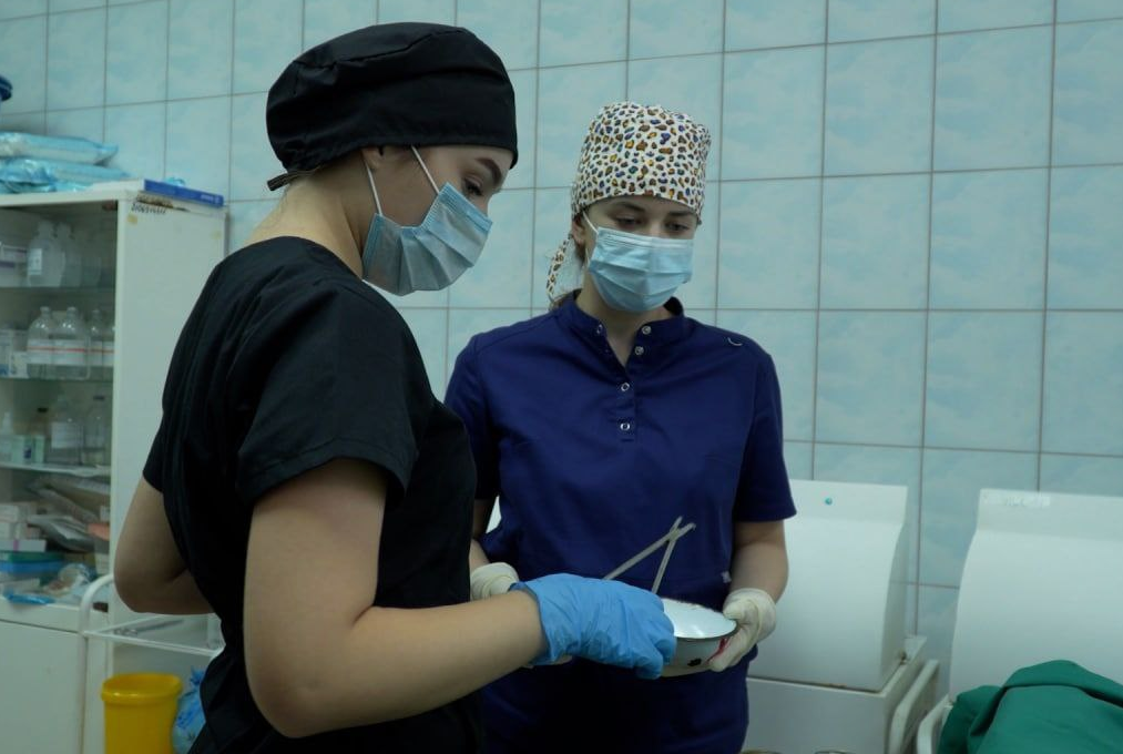 Выпускницы сестринских курсов Единой России приступили к работе в военных госпиталях