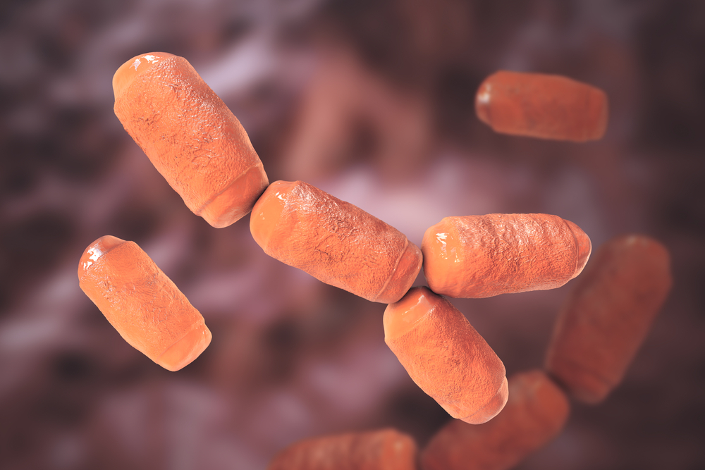 Прокариоты кишечника человека Archaea (Methanobrevibacter smithii). Фото © Shutterstock / Kateryna Kon