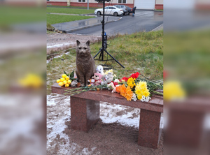 В Петербурге открыли памятник до смерти замученному живодёрами коту Кузе