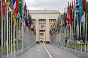 В Женеве стартовал новый раунд переговоров между РФ и ООН по зерновой сделке
