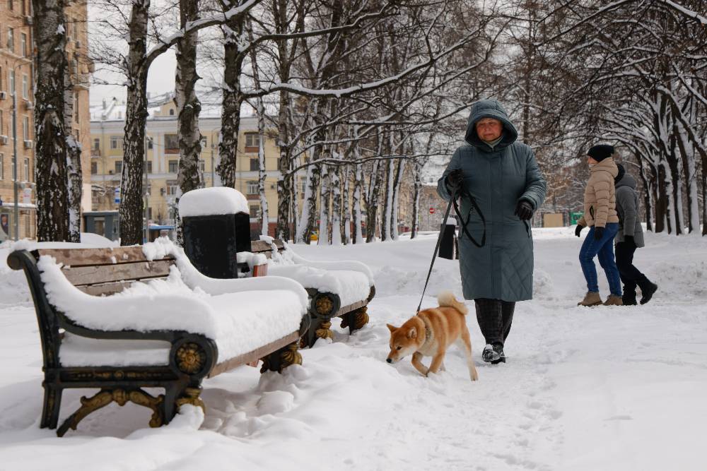 Синоптики рассказали, когда в Москву придёт зима с морозами и снегопадами