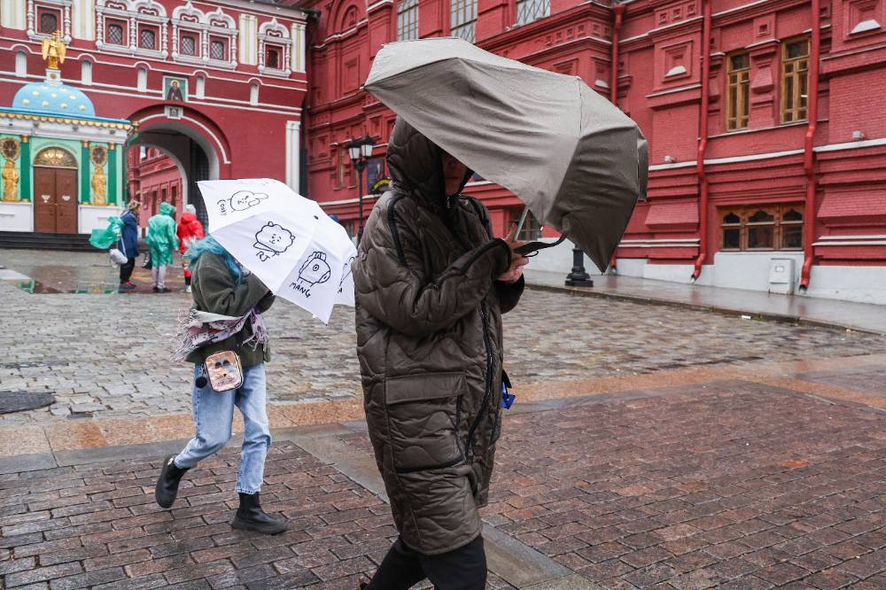Москвичей предупредили о штормовом ветре и арктическом вторжении 13 ноября