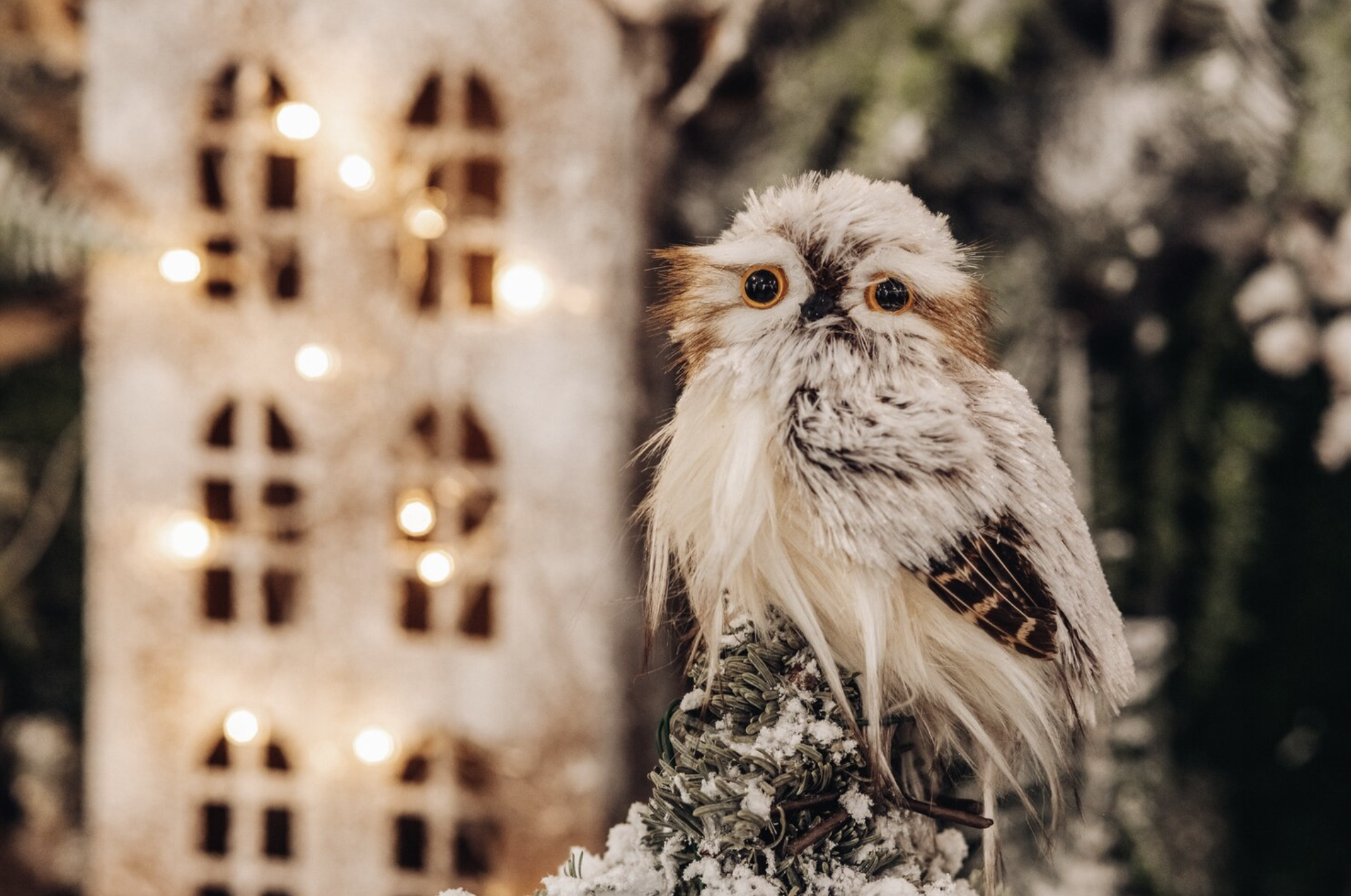 Декор из птиц с яркими перьями оживит ёлку. Фото © Freepik / user15285612