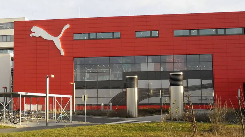 Компания Puma судится с любителем животных за домен puma.ru