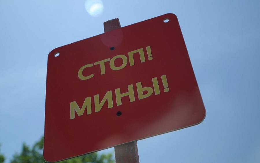 Два жителя Брянской области подорвались на мине у границы с Украиной