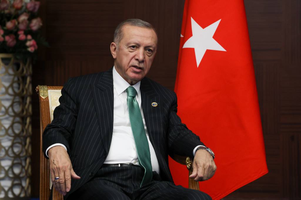 Эрдоган призвал активизировать дипломатические усилия для прекращения конфликта на Украине