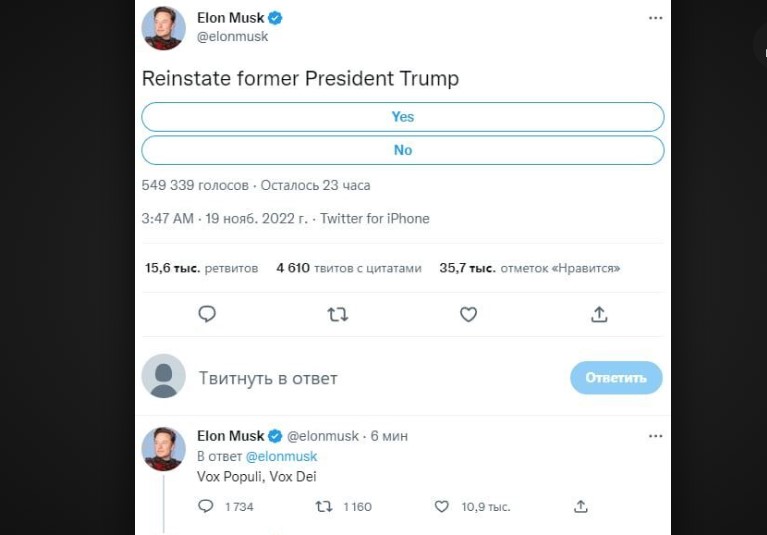 Илон Маск: "Глас народа — глас божий". Фото © Twitter / Elon Musk