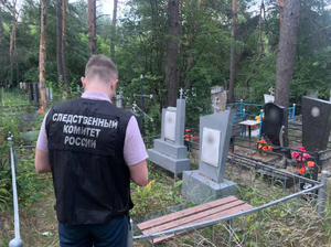 В Воронеже осудили подростка, снимавшего "сатанинские пляски" друга на могилах ветеранов