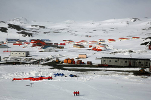 Новому аэродрому в Антарктиде дали имя петербургского "Зенита"