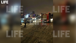 В Москве прохожие спасли мальчиков, провалившихся под лёд на Большом Графском пруду
