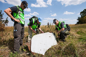 Нидерланды раскрыли, какие данные по делу MH17 обнародуют весной