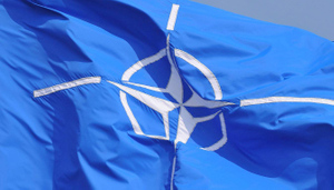 В Китае увидели в НАТО американскую ловушку для Евросоюза