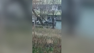 Убийцу из Крымска засняли на видео во время странных перебежек между машинами с винтовкой