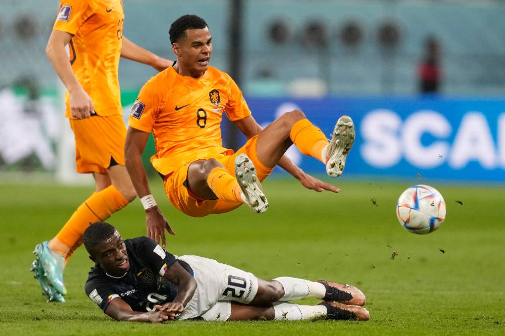 Нидерланды и Эквадор сыграли вничью на ЧМ-2022 и оставили Катар без шансов на плей-офф