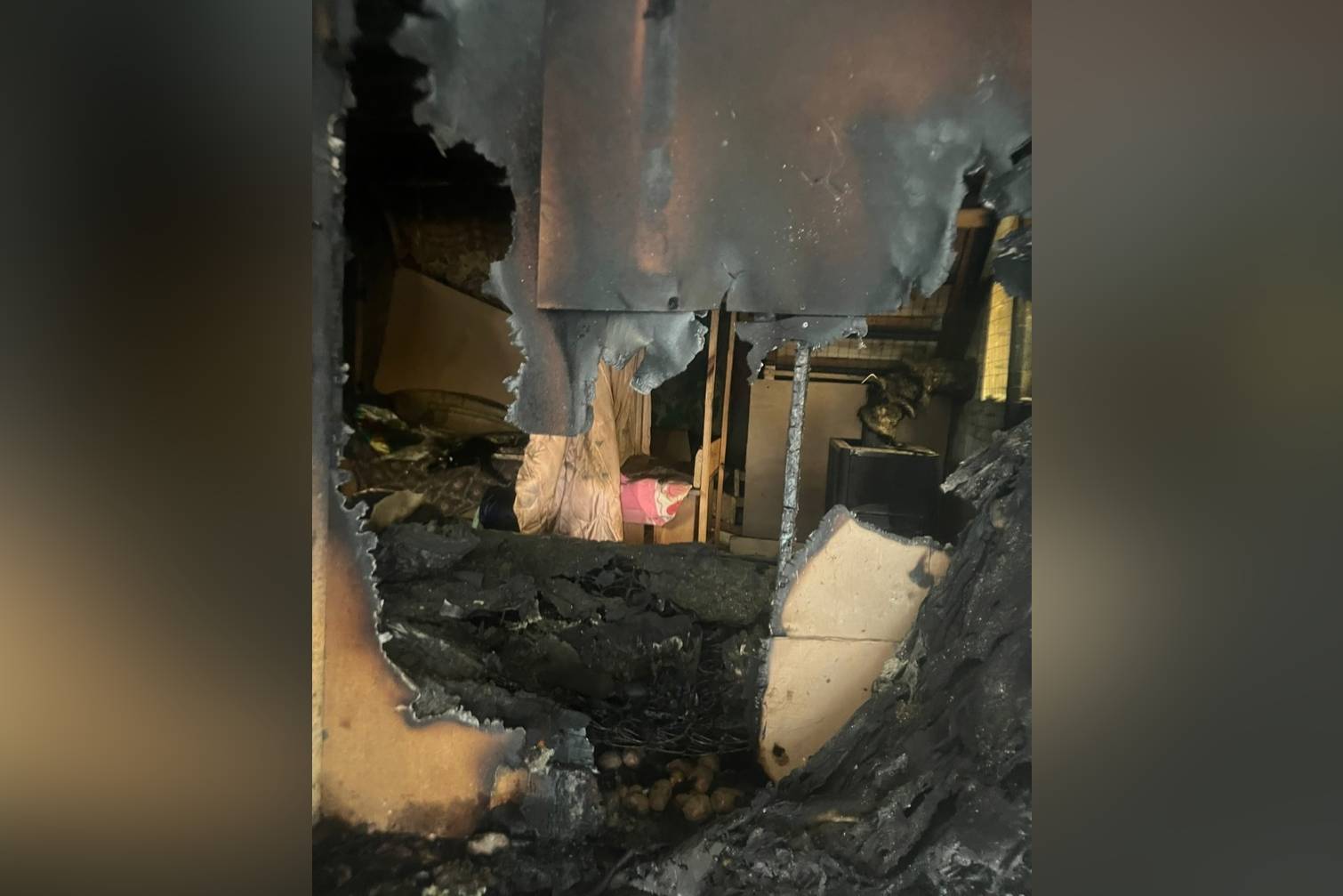 Более 60 кошек и собак сгорели заживо во время пожара в приюте под Брянском