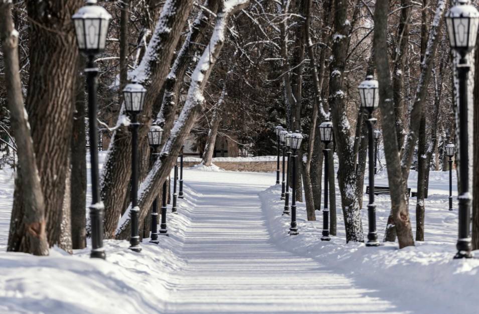 Жителям Москвы и Подмосковья пообещали погоду как в стихе Пушкина