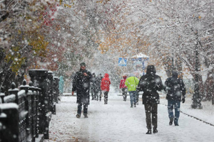 Вильфанд: Предстоящая зима в Центральной России будет холоднее предыдущей