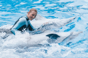 Тренер назвала способ "подозвать" выброшенных в море дельфинов в Севастополе