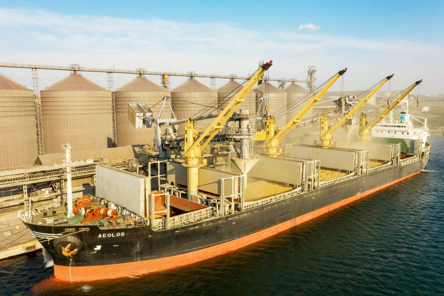 <p>Погрузка зерна в трюмы морского грузового судна. Фото © Shutterstock</p>
