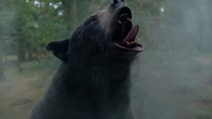 Опубликован трейлер фильма о медведе, который объелся наркотиков и сошёл с ума