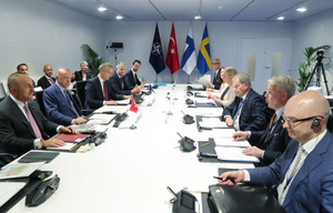 В США назвали затягивание Эрдоганом вступления Финляндии и Швеции в НАТО сигналом для РФ
