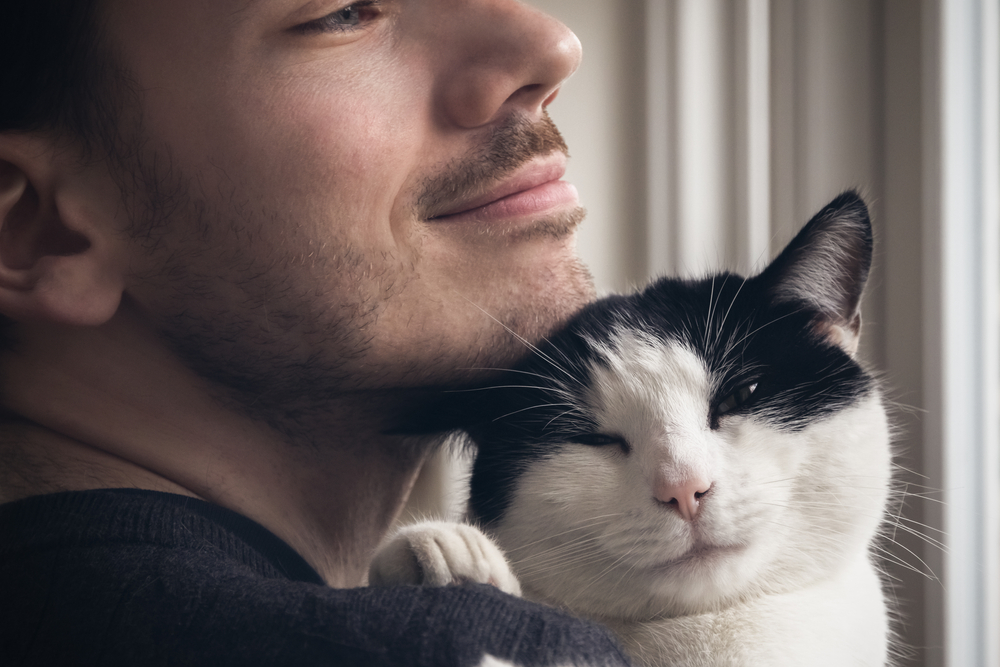 Учёные нашли способ победить аллергию на кошек с помощью прививки