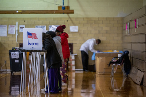 НОМ: Американская система выборов лишила 8,6 млн граждан избирательного права