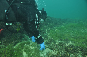 "Подводный Стоунхендж": На дне Боденского озера учёные нашли то, что не могут объяснить